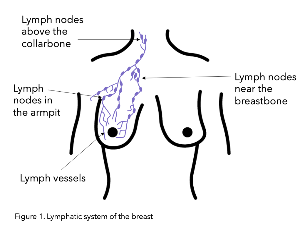 science behind lymphoedema